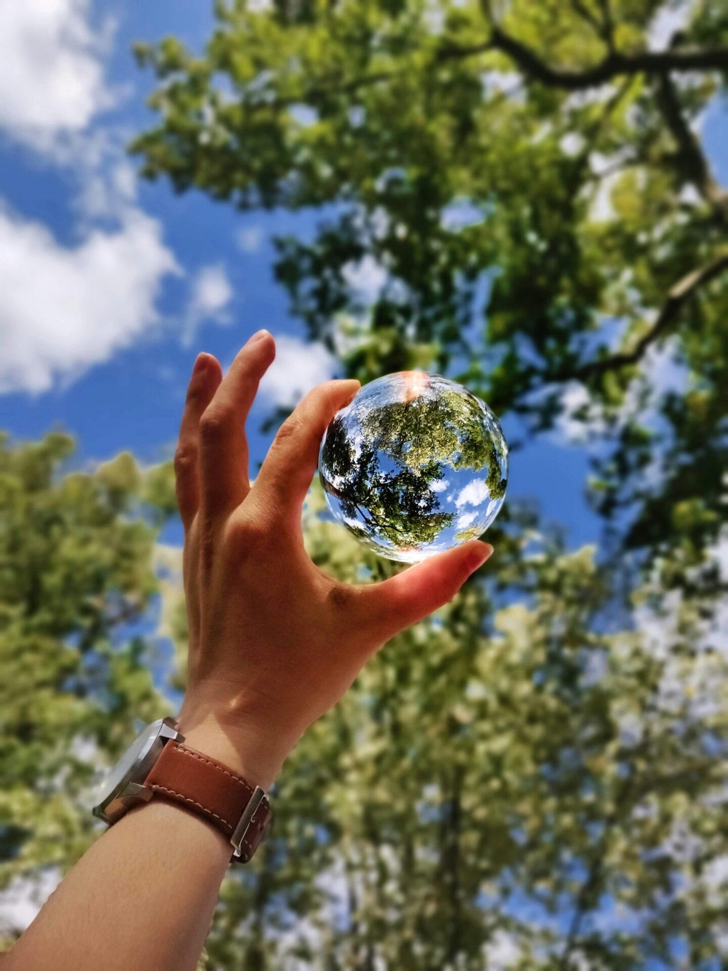 The Week Boule de verre Margot Richard Unsplash